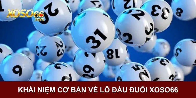 Khái niệm cơ bản về lô đầu đuôi Xoso66